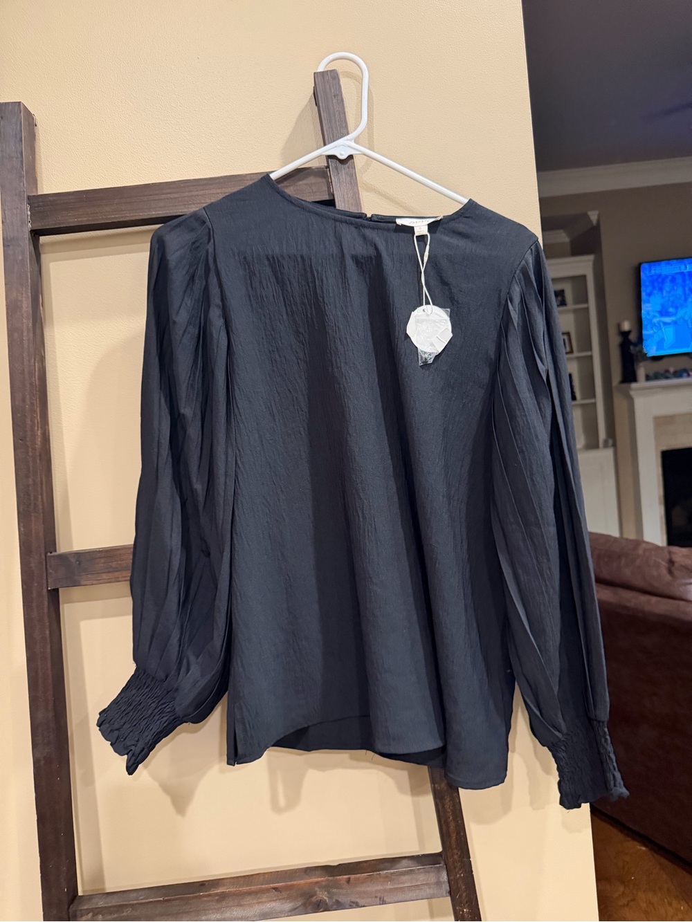 ODDY Black Long-Sleeve Pleated Blouse